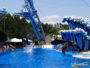 SeaWorld Orlando 2011 (napsal Jindrous)